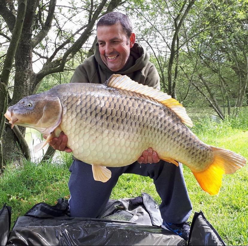 Common Carp in France