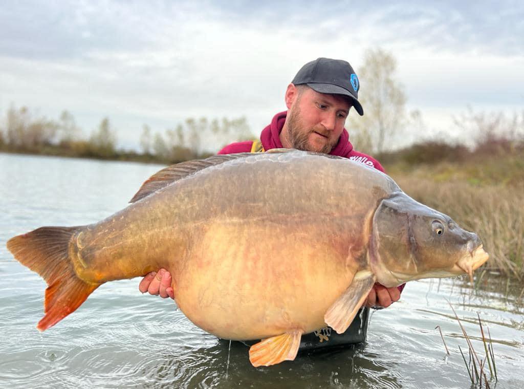 carp 2