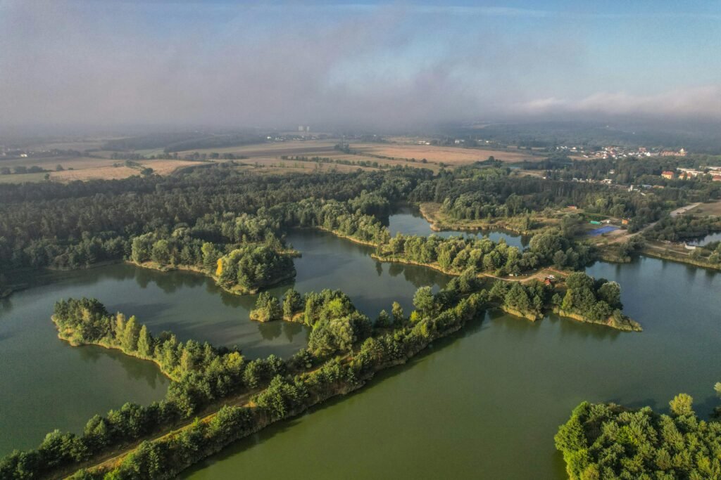 Majestic aerial view of lush green forest surrounding serene lakes under cloudy sky.