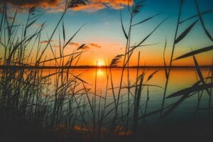 Tranquil sunset view over a serene lake with reeds silhouetted against the colorful sky.