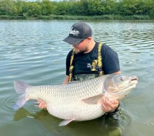 Grass Carp 1