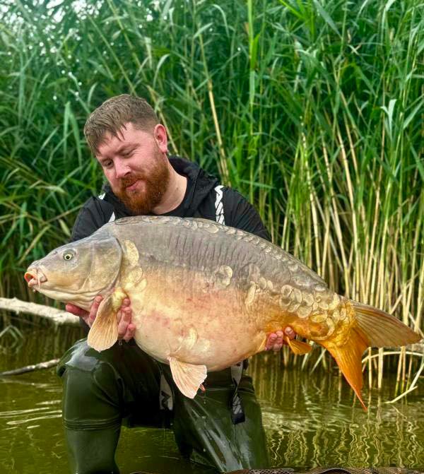 Mirror Carp 1