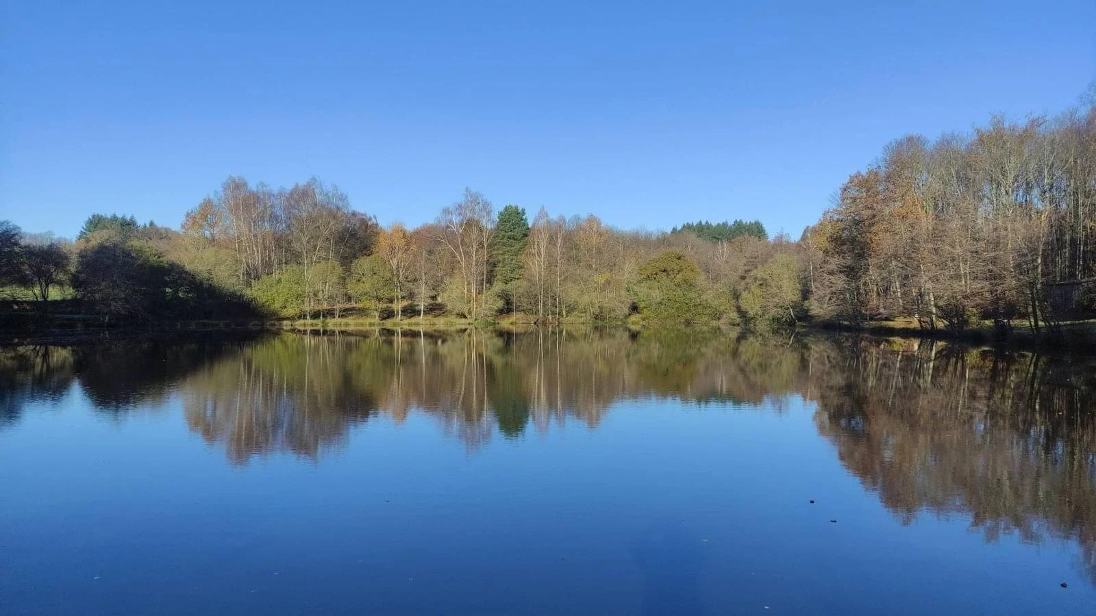 Sunny carp lake view representing peaceful hidden gem fishing venues