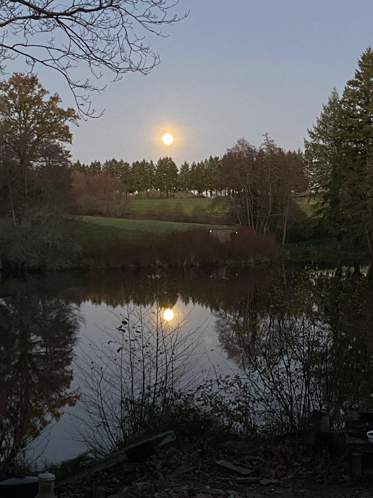 Scenic carp fishing lake with natural banks and peaceful surroundings