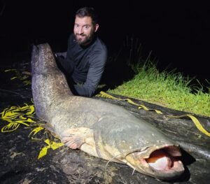 Birch Lake France Catfish