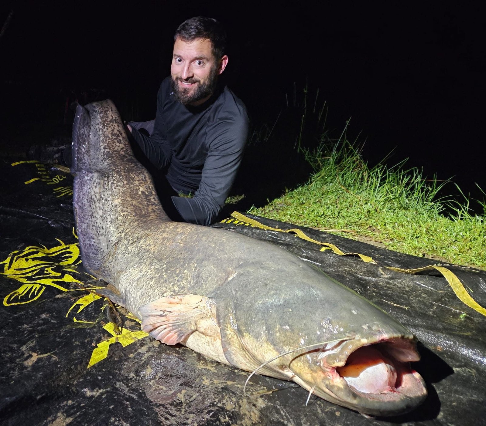 Birch Lake France Catfish