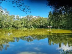 Orchard Lake one of the Famous Five Lakes