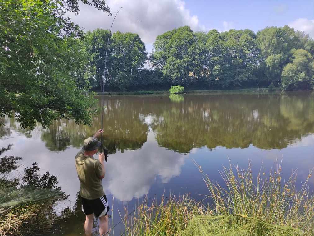 Quiet untouched carp lake with natural margins and peaceful surroundings