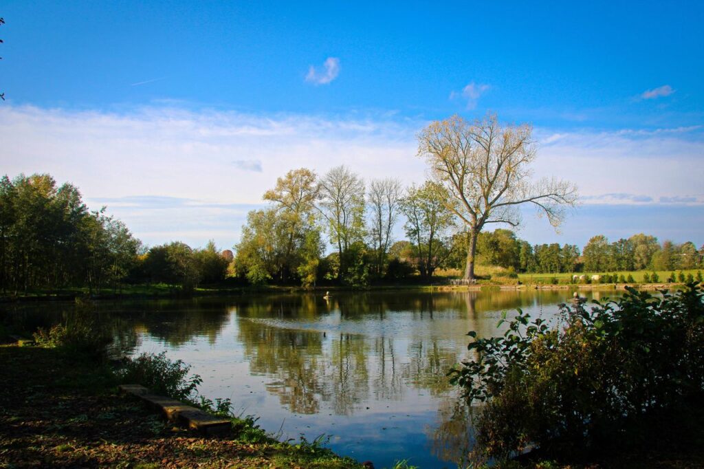 Tranquil landscape of a serene lake surrounded by trees under a blue sky in Courcelles, Belgium.