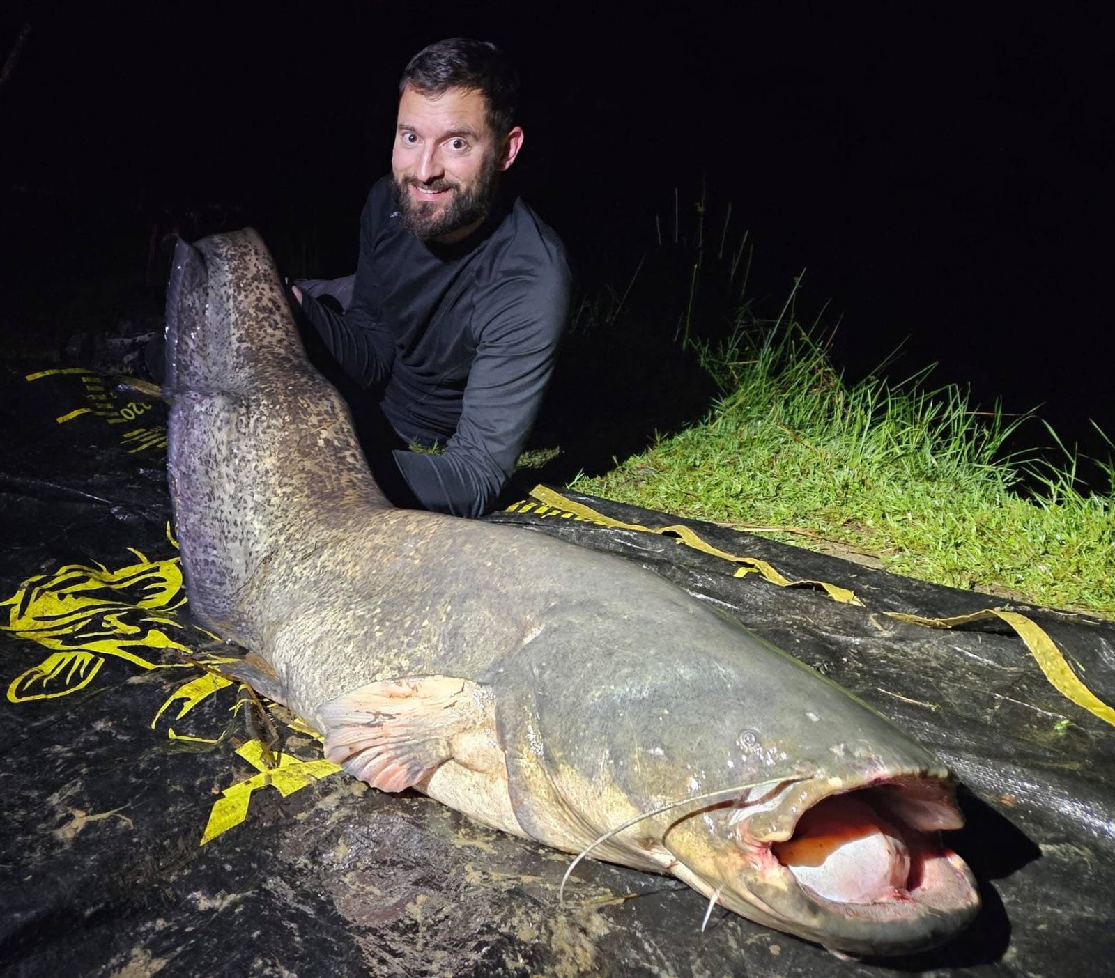 Birch Lake France Catfish